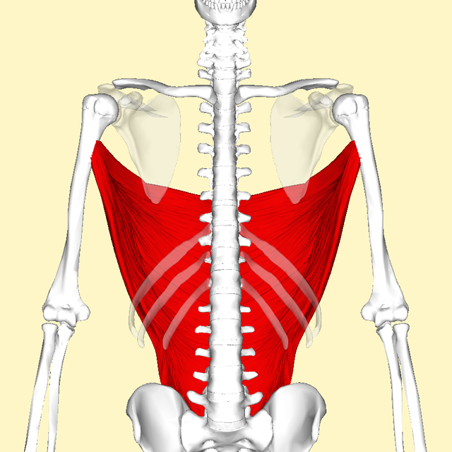How I Do Lat Pulldowns — My Grip, Form and Technique