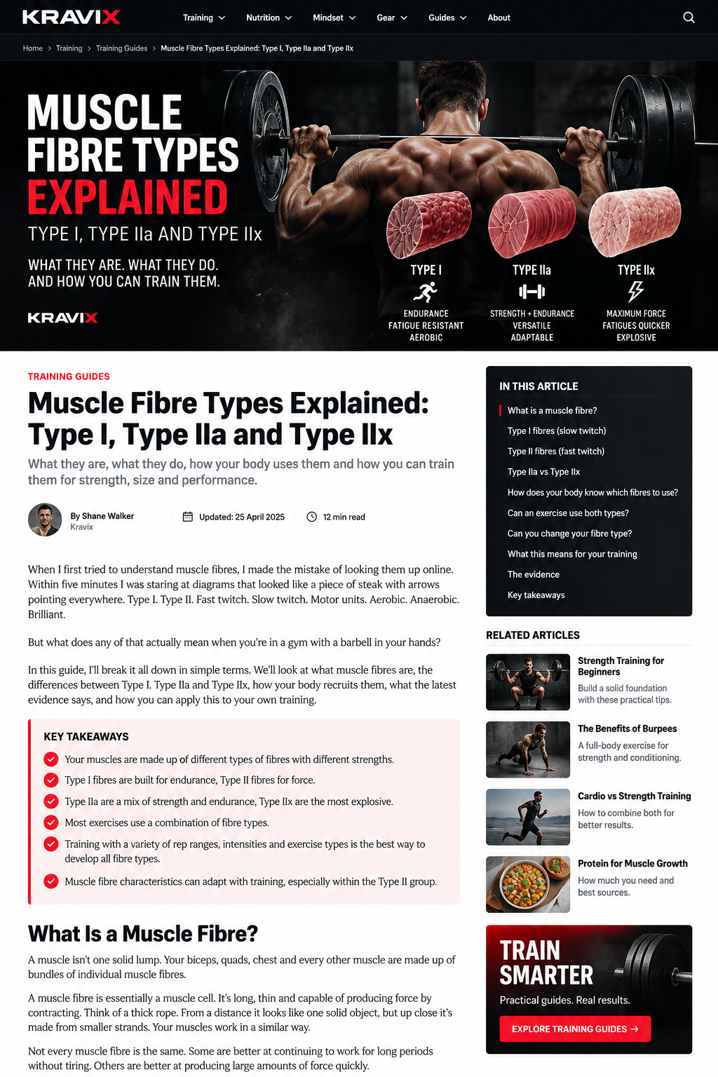 Muscle fibre types explained for strength and hypertrophy training