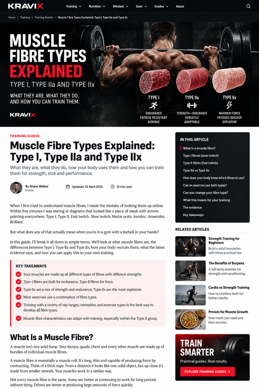 Muscle fibre types explained for strength and hypertrophy training